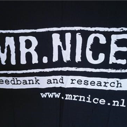 Mr. Nice sarong