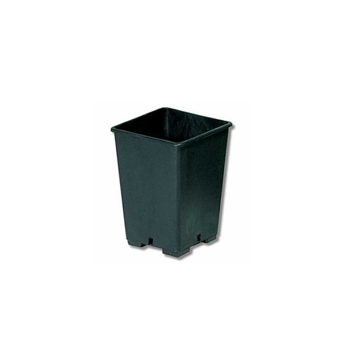 Pots carré 6,2L